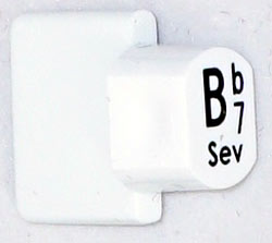 Ashbury Replacement Bb7 Autoharp Key 