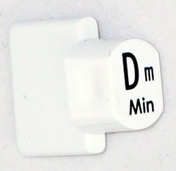 Ashbury Replacement Dm Autoharp Key 