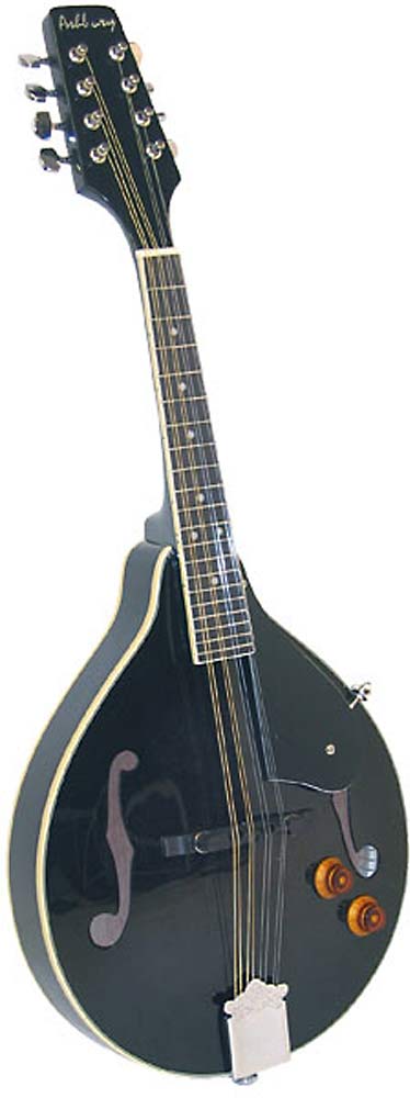 Ashbury AM-10-EK A Style Electro Mandolin, Black Electro, spruce top, mahogany body, F-hole, bridge P/U, tone & vol.