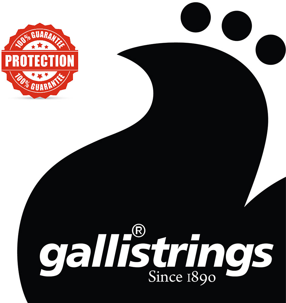 Galli PL010 LE Plain Loop End String .010 