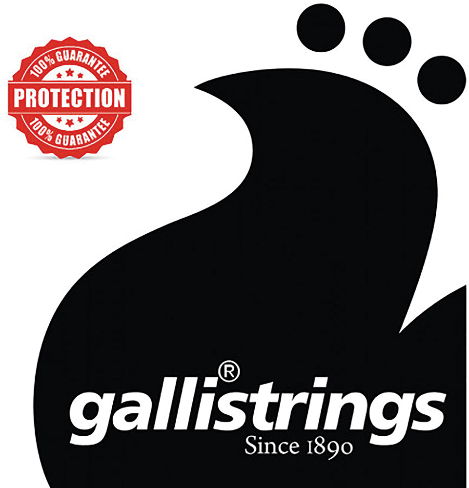 Galli PL015 LE Plain Loop End String .015 