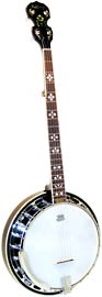 Ashbury AB-45-5 5 Str Banjo, Mahogany Resonator