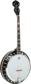 Ashbury AB-45-T Tenor Banjo, Mahogany Resonator