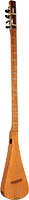 Ashbury ADS-30 Dulci-Stick, Chromatic It has all the frets! A great sounding and easy to use dulcimer stick